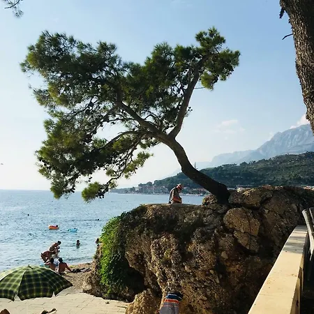 Panorama Podgora (Split-Dalmatia)